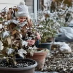 Featured image placeholder 16:9