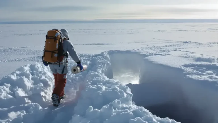 Experten sind sich einig Eis in einer kleinen unterirdischen Kammer in der Antarktis zu lagern mag harmlos erscheinen aber diese Entscheidung könnte das lokale Ökosystem stören