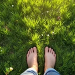 Featured image placeholder 16:9