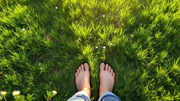 Dieser häufige Fehler im Frühling schadet Ihrem Rasen ohne Ihr Wissen